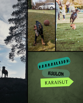 Karkailijan Kuulon Karaisut