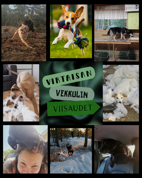 Virtaisan Vekkulin Viisaudet