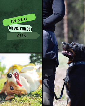 Arjen Arvoitukset Auki