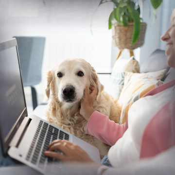 Verkkokurssit